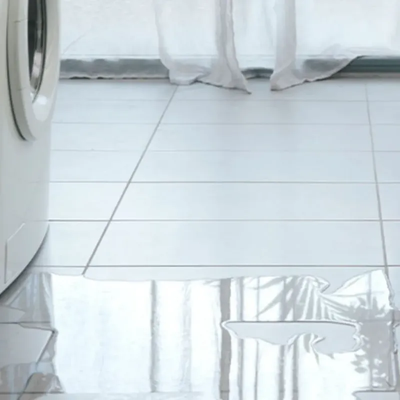 Appliance Leak Cleanup in Vance County, NC