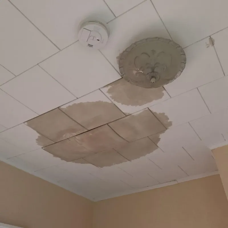 Ceiling Water Damage Repair in Vance County, NC