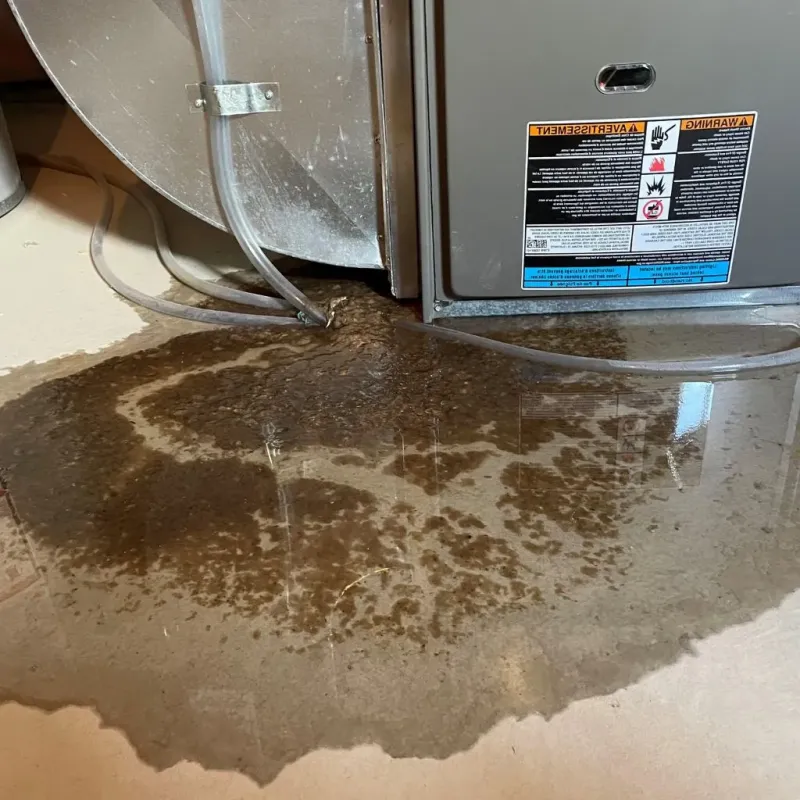 Pipe Burst and Leak Restoration in Vance County, NC
