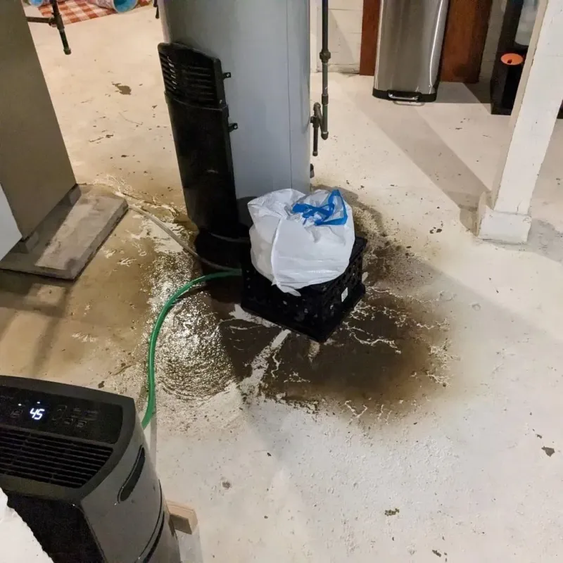 Sewage Backup Cleanup Service in Vance County, NC